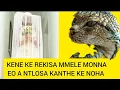 Download Lagu NGOANANA OA QACHA ONYALOA KE NOHA BLOEMFONTEIN 