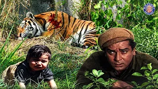 शम्मी कपूर ने बच्चे की जान बचाने के लिए शेर को मार डाला | Shammi Kapoor Killing Tiger Scene | Nutan