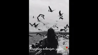 أي حاجة تجي من ريحة الحبايب عمرو دياب النسخة التركية مع الكلمات حالات واتس أب حزينة 