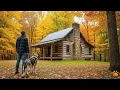 Download Lagu Veteraan kocht goedkope grond — Hond onthulde waarom die verlaten was