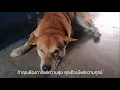 เพลง - อยู่เป็น...เย็นสุข