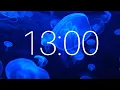 13 Minute Timer with Ambient Music and Jellifish