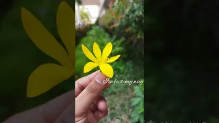 A Little Bit More Song By Suriel Hess 