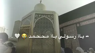 بدر العزي يا حبيبي يا محمد تصميم حالات واتس اب 2022  بدر العزي يا حبيبي يا محمد تصميم حالات واتس اب 2022