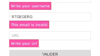 How to validate form using JQuery Validate plugin with full options
