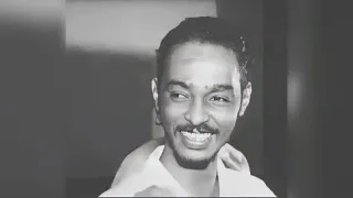 محمود عبد العزيز الليل الهادي 