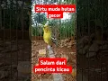 Download Lagu burung sirtu cipoh muda hutan gacor