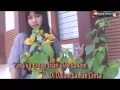 Download Lagu Lagu awai Ajier   Indah Malam