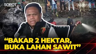 Polisi Ungkap Modus Karhutla di Kalbar: Lahan 2 Hektar Dibakar untuk Pembukaan Lahan Kebun Sawit