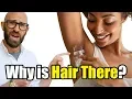 Why Do Humans Still Have Pubic and Armpit Hair When We ve Lost Most of the Rest