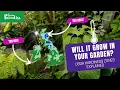 Create the ULTIMATE plant shopping list - USDA plant hardiness zones