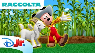Canzoni country della fattoria 🐐🚜 La Casa di Topolino+ | Raccolta