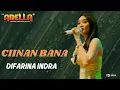 Download Lagu CIINAN BANA-Difarina indra-OM ADELLA-SATUI TANAH BUMBU KAL SEL