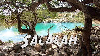 Don’t miss these things to do around Salalah Oman!