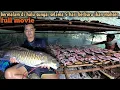 Download Lagu FULL MOVIE: survival and spearfishing 5 hari bermalam di hulu sungai berburu ikan mahser