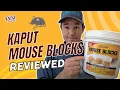 Kaput Mouse Bait Blocks An Exterminator s Honest Review