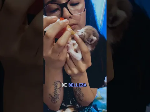 Lo Perdimos Todo