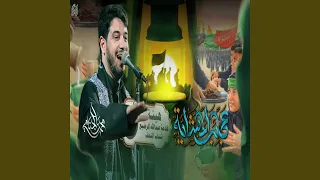 عجائب المشايه دندنها