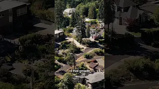 Seattle Faces Housing Slowdown as AI Reshapes Employment