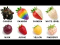 Every Strawberry Variety Explained in 20 Minutes