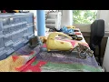 Vintage Sunbeam Mixmaster Junior Yellow maintenance