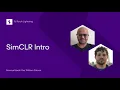 SimCLR with PyTorch Lightning - intro