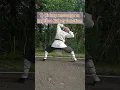 Kidney massage to improve kidney function