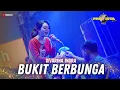 BUKIT BERBUNGA Divarina Indra || PROVISTA LIVE NGAWI