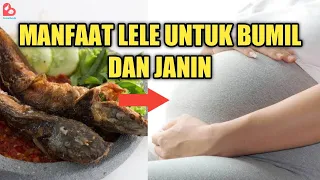 Download Manfaat Ikan Lele Bagi Ibu Hamil dan Janin MP3