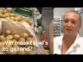 Download Lagu Europa erkent gezondheidsclaim voor groene kiwi's