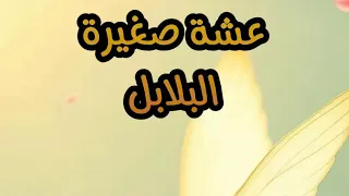 عشة صغيرة   البلابل   ايمان     دندنها