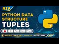Master Python Tuples in Minutes Python Tutorial
