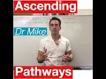 Sensory Pathways MADE EASY