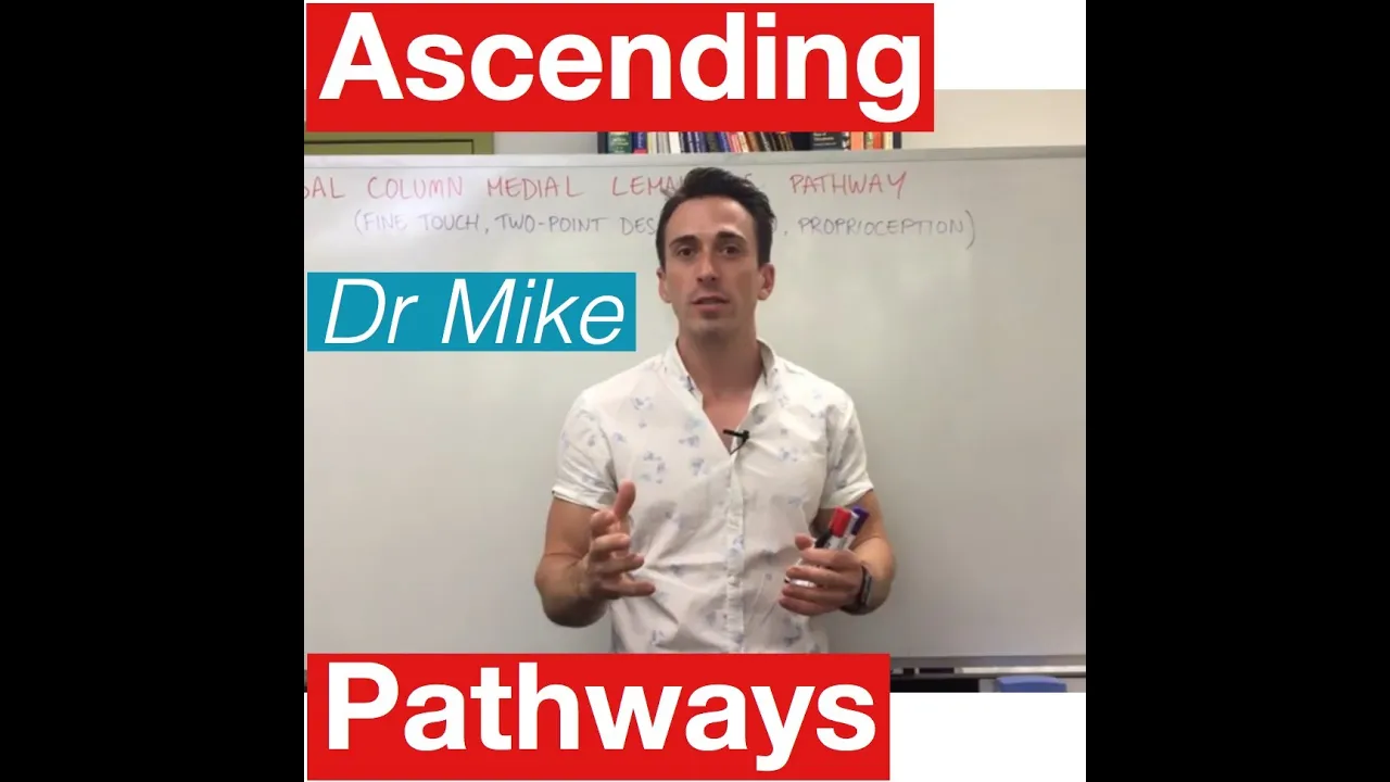 Sensory Pathways MADE EASY!!
