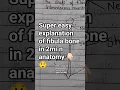 Download Lagu https://youtube.com/playlist?list=PL-9AOLX7S_NqhYkUvKSHGiUjFGSONsZbY\u0026si=OkabcyJ7j8yOrKGI super easy