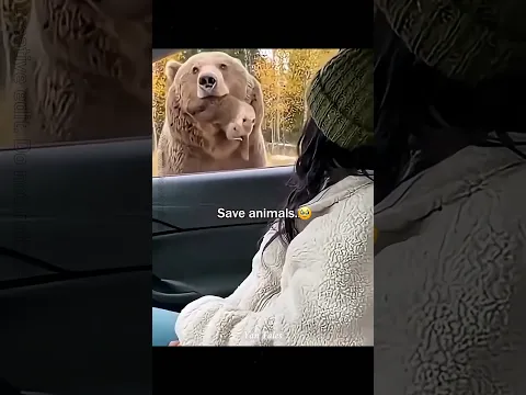 #tepukkartu