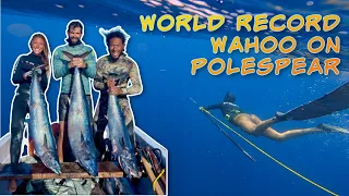 World Record Wahoo on Pole Spear!