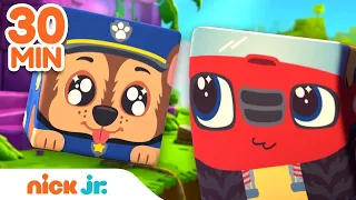 Block Party Treasure Hunt More Adventures W PAW Patrol 30 Minute Compilation Nick Jr 