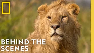 LION: Exclusive BTS Footage of an Incredible Filmmaking Journey | National Geographic