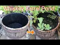 Turn a Half Whiskey Barrel into Simple Water Feature for your Garden