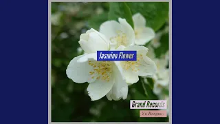 Download Jasmine Flower MP3