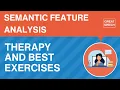 Semantic Feature Analysis for Aphasia Therapy and Best Exercises