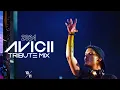 Download Lagu Avicii Tribute Mix 2024