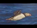 PortlandMediaCenter Maine Oil Drilling Public HearingPMCOilDrilling815