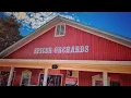 Spicer s Orchard - the perfect place to visit during autumn