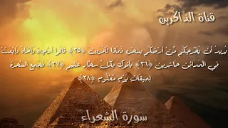 سورة الشعراء تلاوة رائعة بصوت القارئ إسلام صبحي 