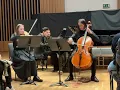 Schubert Sonatensatz with Lewis Tang Lydia Greenwood and Patrick Townsend
