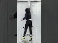 Whose Got the Highest Jump