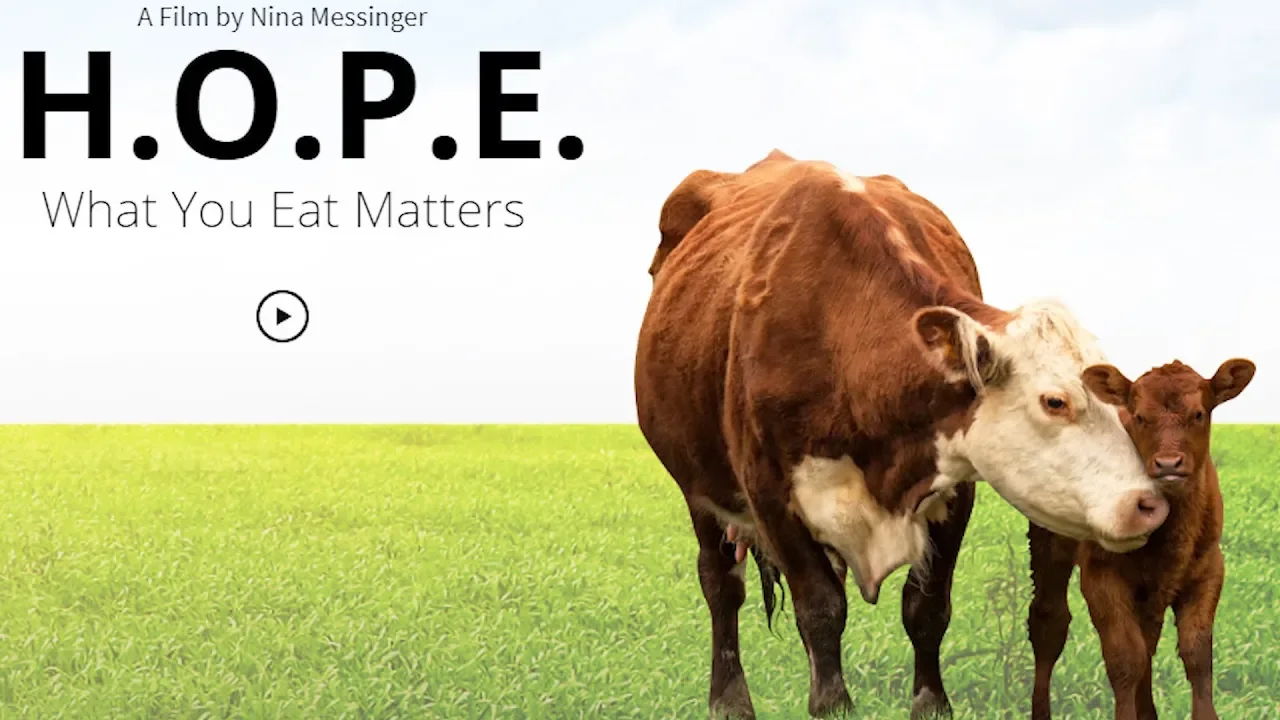 H.O.P.E what you eat matters