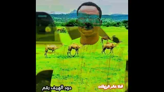 ابراهيم ادريس اخينا هي دود الهيف رزم تراث الرزيقات 